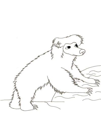 sloth bear coloring page