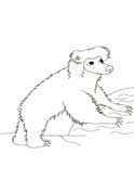 sloth bear coloring page