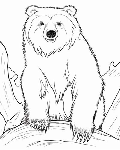 sloth bear with long claws coloring page