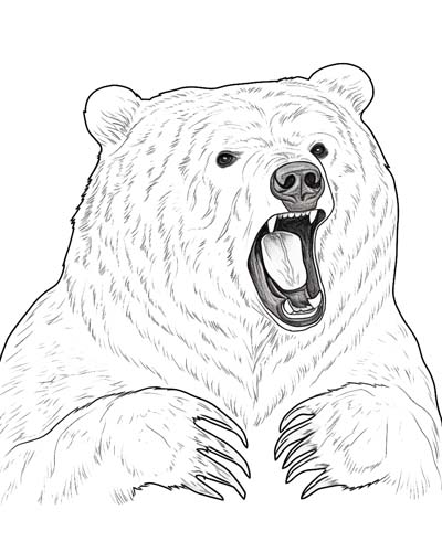 grizzly bear roaring coloring page