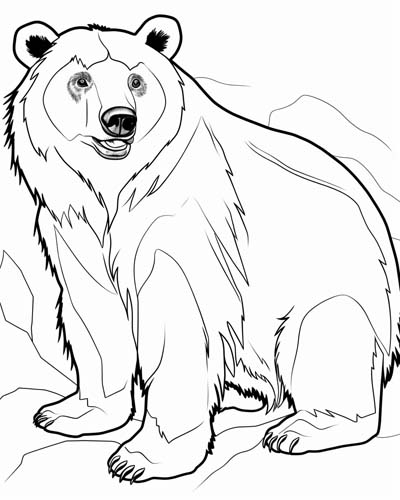 spectacled bear coloring page
