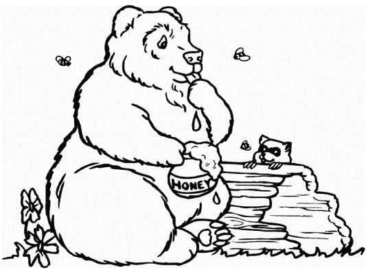 bear and honey coloring pages