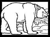 bison coloring page