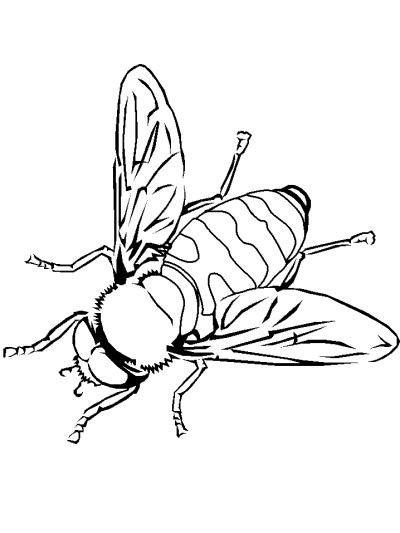 bee coloring page