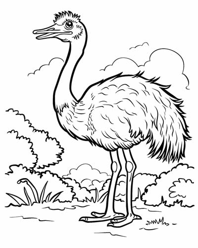 ostrich coloring page