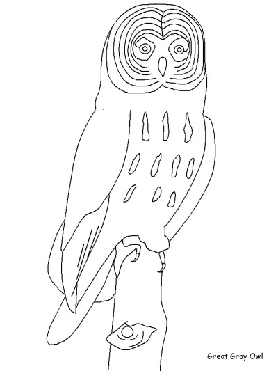 Canadian birds coloring page