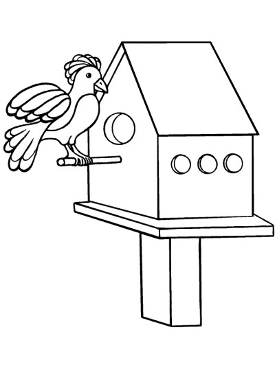 bird and house coloring page