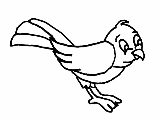 simple bird coloring page