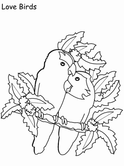 Love birds coloring book page