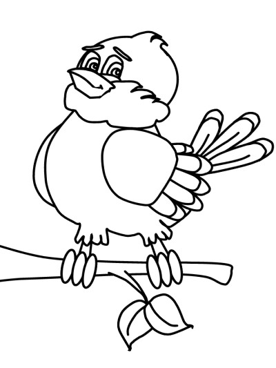 sparrow coloring page
