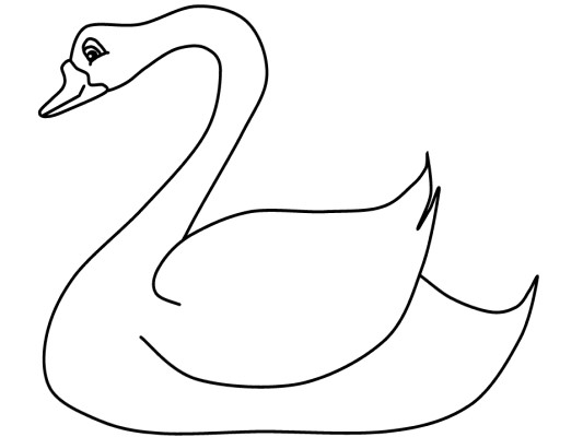 swan coloring page