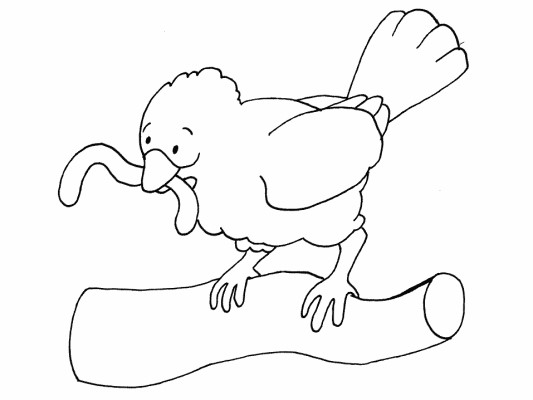 birds coloring page