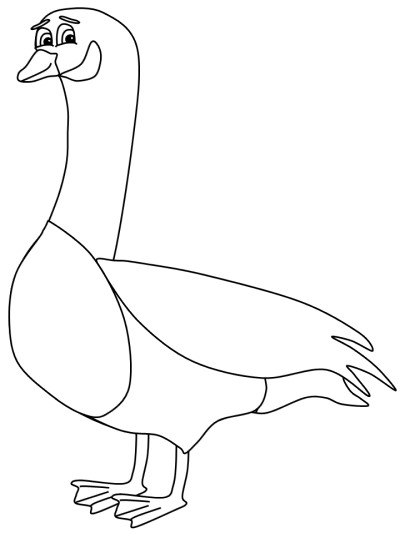 Canada Goose coloring page