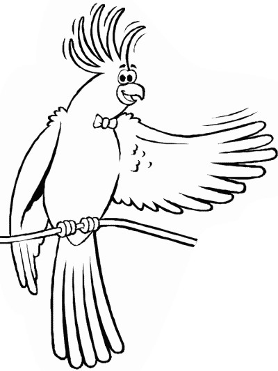 cockatiel coloring page