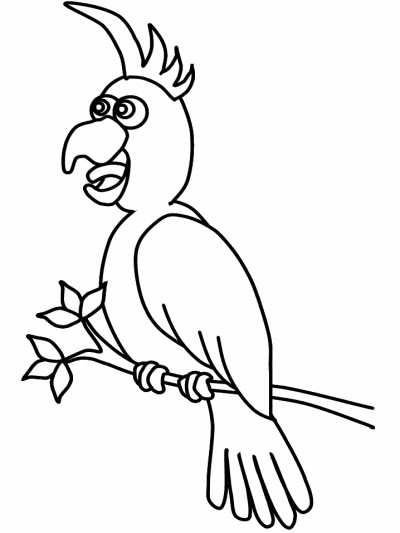 cockatiel coloring page