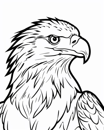 eagle head coloring page with bold lines
