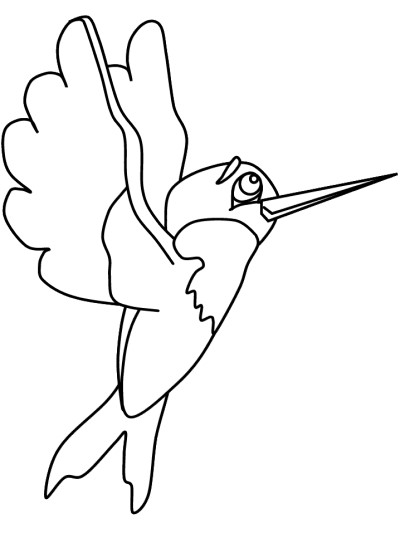 hummingbird coloring page