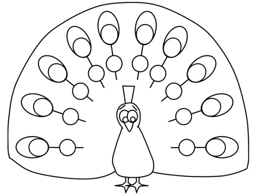 peacock coloring page
