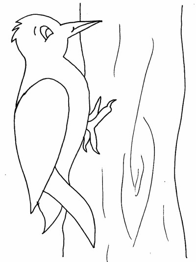 woodpecker coloring page
