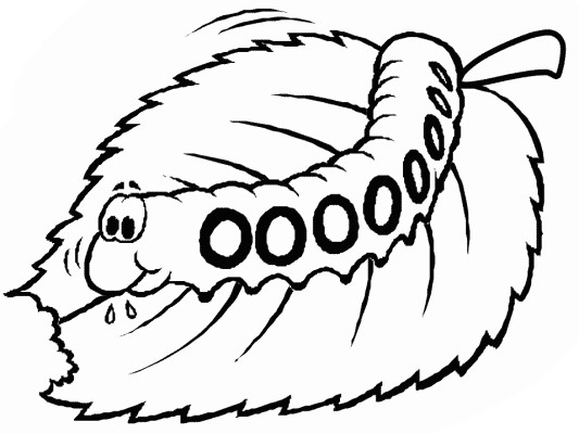 coloring page of a Caterpillar chewing a leaf