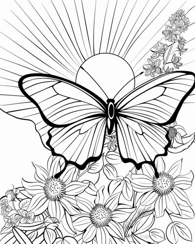 butterfly coloring page