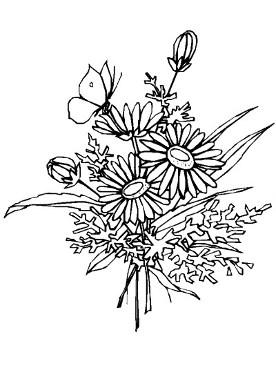 flowers and butterfly coloring page