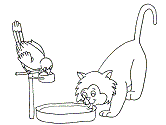cat and bird coloring page