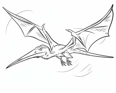 Pteranodon coloring page