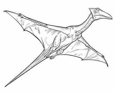 Pteranodon coloring page