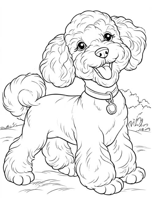 happy panting Bichon Frise coloring page
