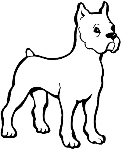 bulldog coloring page