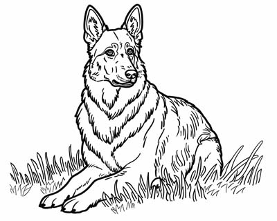 german shepherd coloring page