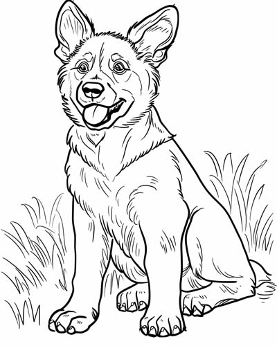 young german shepherd coloring page