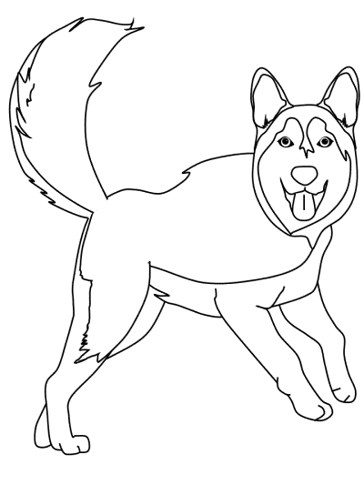 Siberian husky coloring book page