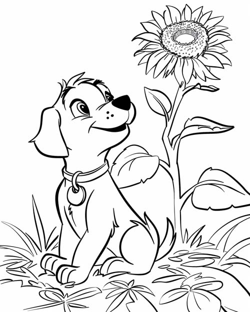 coloring page of a dog and a sunflower