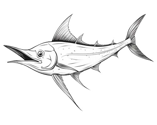 swordfish coloring page