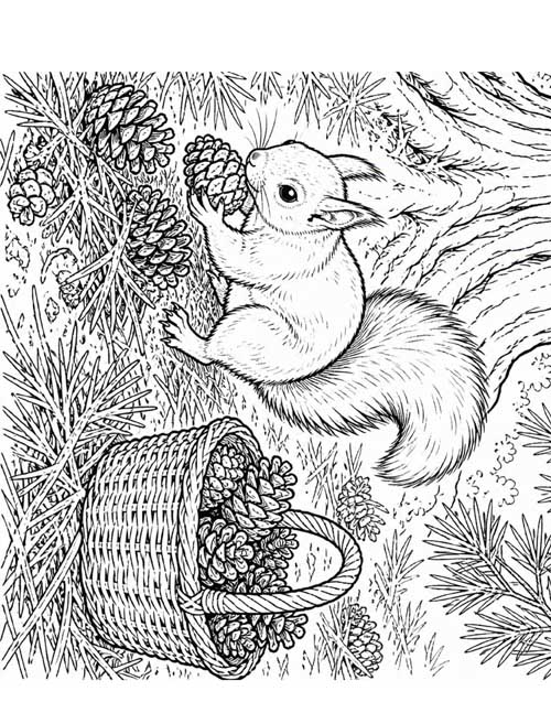 detailed, realistic coloring page of a squirrel gathering pinecones