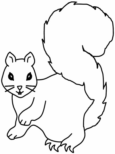 mammals of Norway: squirrel coloring page