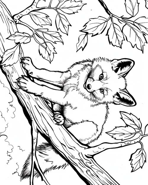coloring page of a gray fox