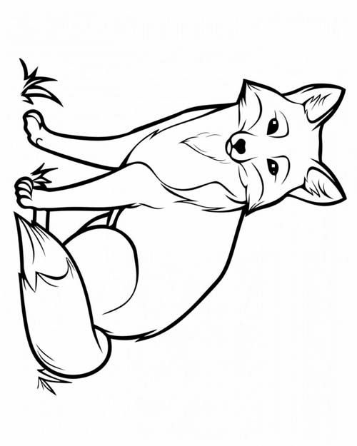 coloring page of a red fox