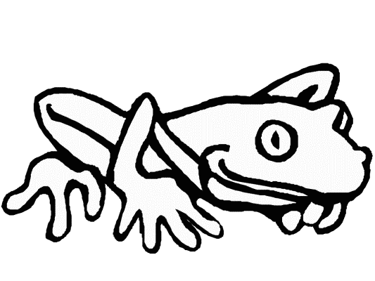 Rainforest frog coloring page