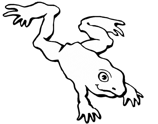 frog coloring page