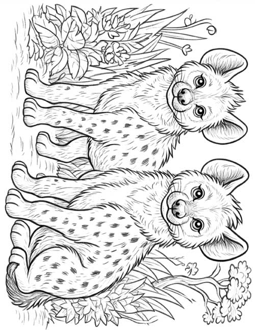coloring page of two hyena cubs