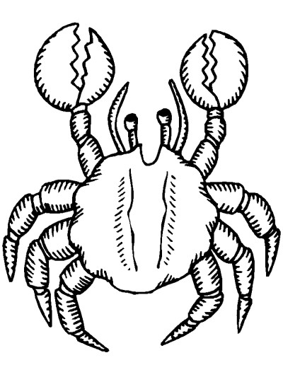 realistic crustacean with big claws coloring page