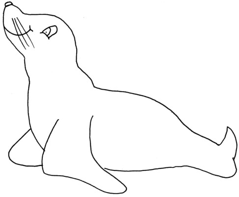 seal coloring page