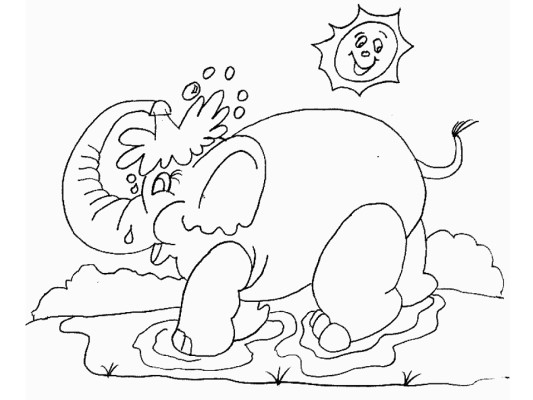 elephant coloring book