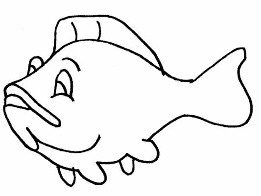 grouper coloring pages