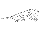 Iguana coloring page