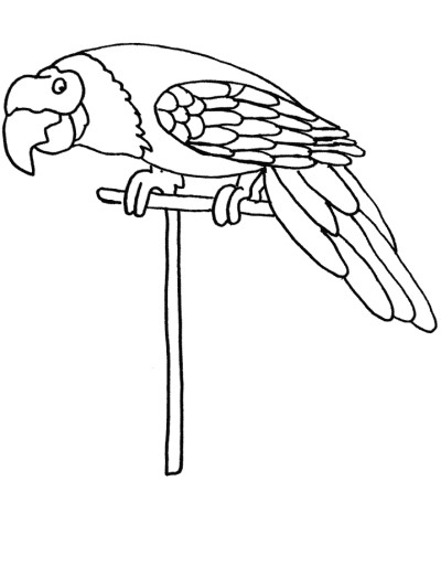 coloring page of a Parrot on a perch