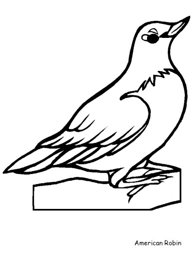 American Robin coloring page